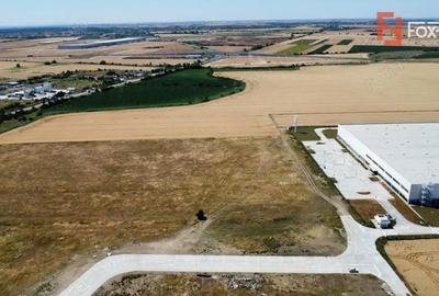 Teren de 7150 mp, în Șagului