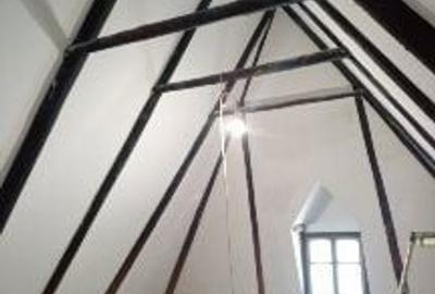 Casă cu 2 camere în Muntele Băișorii - 3