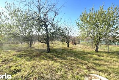 Teren de 1000 mp, în Oncea