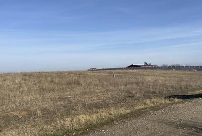 Teren intravilan 500mp, Pielesti - 3