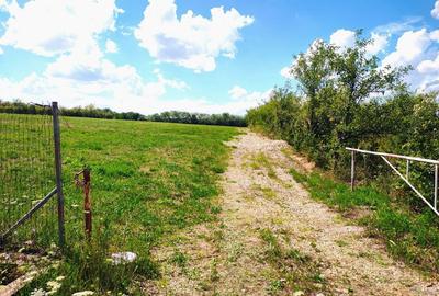 Teren de 6200 mp, în Ardud - 9