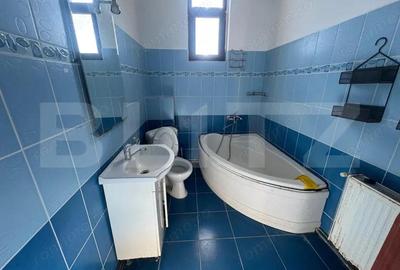 Casa cu 5 camere, curte 650 mp, zona Bariera Valcii - 13