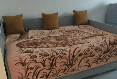 Apartament cu 3 camere semidecomandat în Dacia - 2