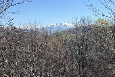 Teren de 2938 mp, în Sadu - 2