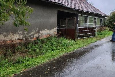 Casă individuală cu 3 camere cu Teren 18000 Mp în Vârfurile - 6