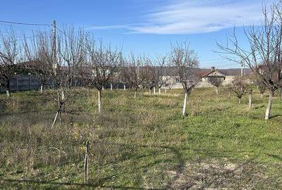 Teren de 2430 mp, în Burila Mare - 3