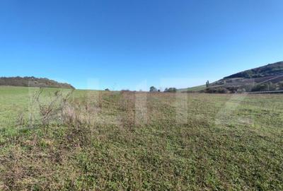 Teren intravilan de vanzare - 5