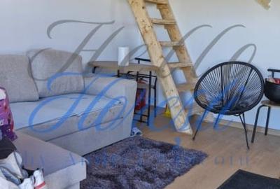 Cabana cu 2 camere, in zona Maguri Racatau