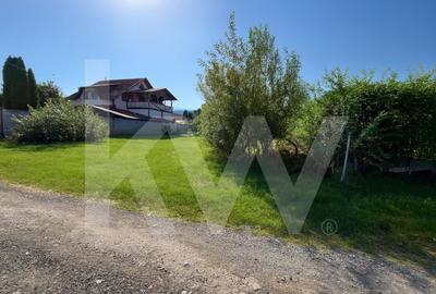 Teren intravilan 1.000 mp de vanzare Talmaciu - 2