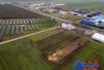 ID 7901 EXCLUSIVITATE - Teren intravilan in Cataloi - 3