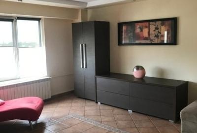 Garsonieră decomandată, mobilată în P-ța Alba Iulia - 5