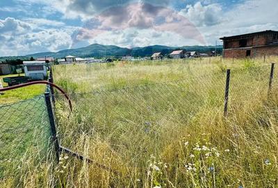Teren 1,016mp Sighetu Marmatiei / Strada Doboies - 1