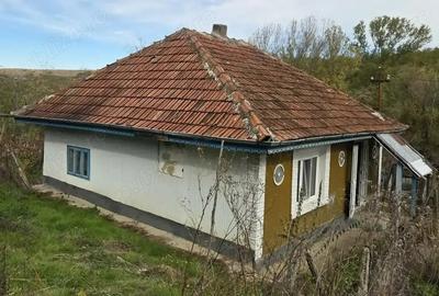 Vand casa si teren intravilan, Popesti, Vaslui - 1
