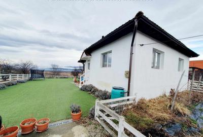 Inchiriere casa cocheta, situata in Tetila (Curti?oara Go - 2