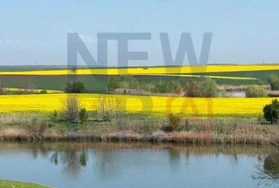 Teren 1926 mp Gostilele - Vedere Lac - 109m deschidere(2 strazi) - Fundulea - 9