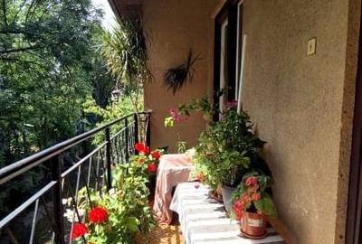 Apartament de 4 camere in vila, 120 mp utili + garaj + pod strada Onisifor Ghibu - 12