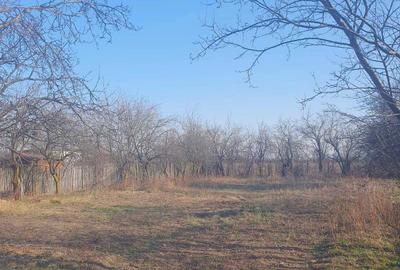 Teren de 882 mp, în Bănești - 5