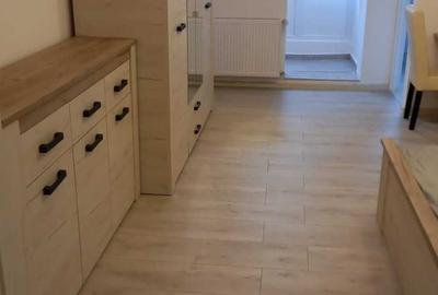 Garsonieră decomandată în Costin Georgian - 4