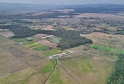 Teren Extravilan - 7