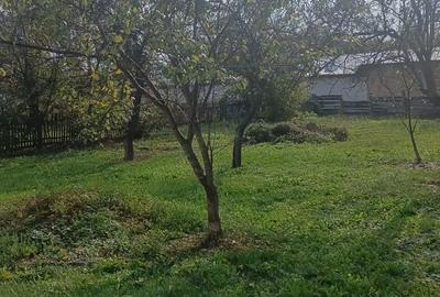 Casă cu 2 camere cu Teren 110 Mp în Săvârșin - 8