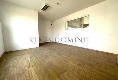 Spațiu industrial, de 218 mp, în Vest - 2