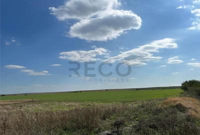 RECO Oportunitate teren 25000mp Santandrei - 3