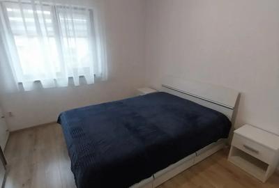 Apartament de lux langa Parcul Sub Arini de inchiriat. - 2