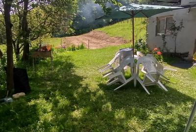 Casă cu Teren 11196 Mp în Central - 2