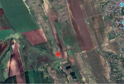 Teren de 5000 mp, în Vârlezi - 4