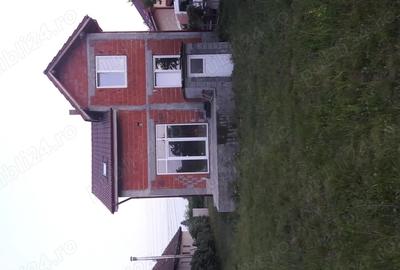 Casă cu 3 camere cu Teren 1501 Mp în Micula - 7