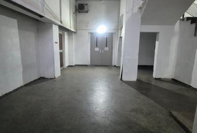 Spațiu industrial, de 360 mp, în Theodor Pallady - 11