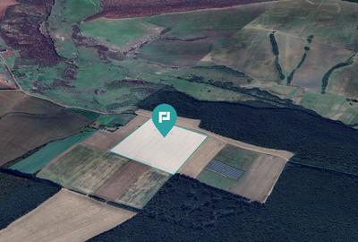 Teren agricol extravilan de 12930 mp, în Remetea Mare