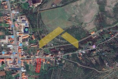 Casă individuală cu 3 camere cu Teren 2215 Mp în Ghioroc - 7