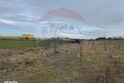 Teren de 13800 mp, în Nord