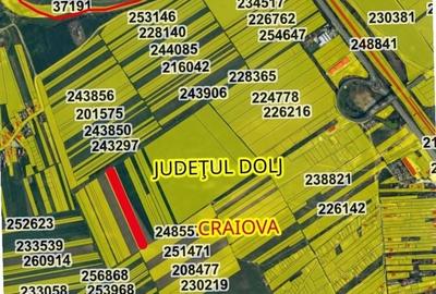 Teren de 5000 mp, în Calea București - 6