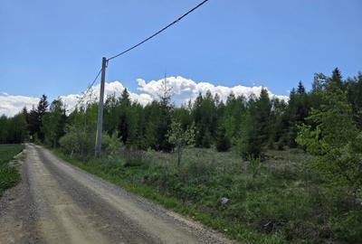 Spațiu comercial, în Panaci - 2