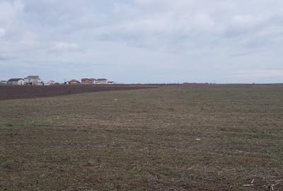 Teren de 972 mp, în Lazu - 2