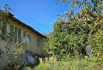 Casă cu 5 camere în Aluniș - 3