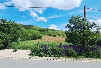 Teren de 2660 mp, în Andrei Mureșanu - 2
