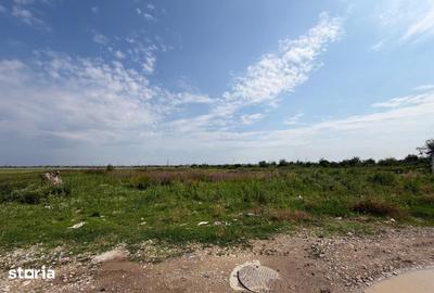 Teren de 18700 mp, în Siloz