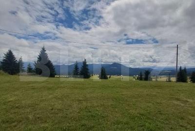 Teren de 3936 mp, în Tiha Bârgăului - 3