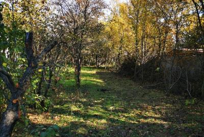 Casă individuală cu 2 camere cu Teren 2500 Mp în Gruiu - 18
