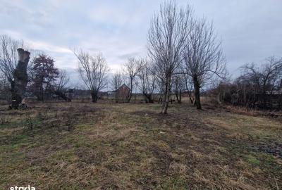 Casă cu 3 camere cu Teren 1800 Mp în Mogoșești - 12
