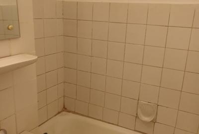 Garsonieră decomandată în Palazu Mare - 2