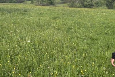 Teren de 8100 mp, în Șinca - 5