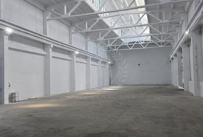Spațiu industrial, în Mihai Bravu - 6