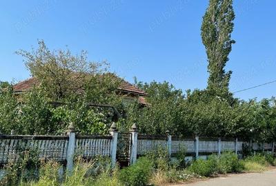 Teren de 2258 mp, în Ciocănești - 7