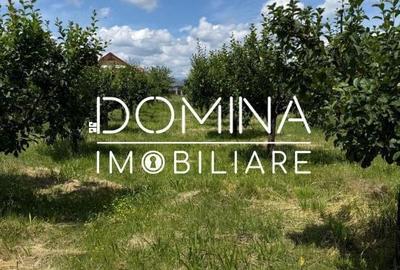 Spațiu comercial, în Preajba Mare - 7