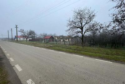 Teren de 745 mp, în Cerneteaz - 4