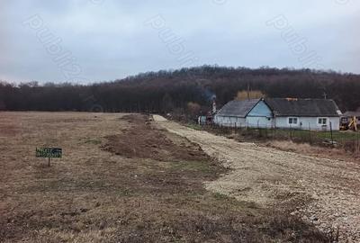 Teren de 500 mp, în Alparea - 1